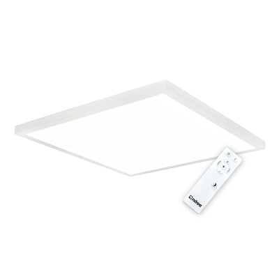 LED Wall and Ceiling Light "Lima"