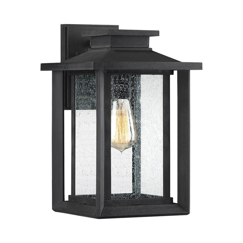 Outdoor wall light Quoizel (QZ-WAKEFIELD-M-TBK) Wakefield weather resistant composite, clear seeded glass E27