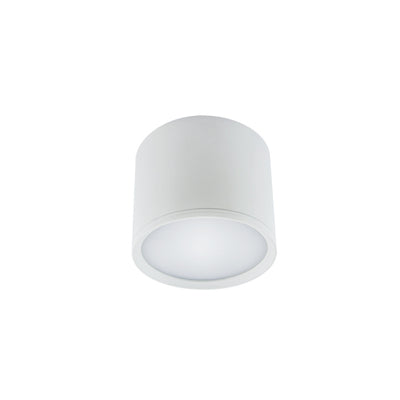 flush mount STRUHM ROLEN  LED (SMD)3W aluminium  white