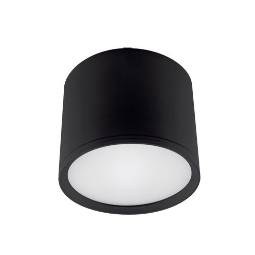 flush mount STRUHM ROLEN  LED (SMD)10W aluminium  black