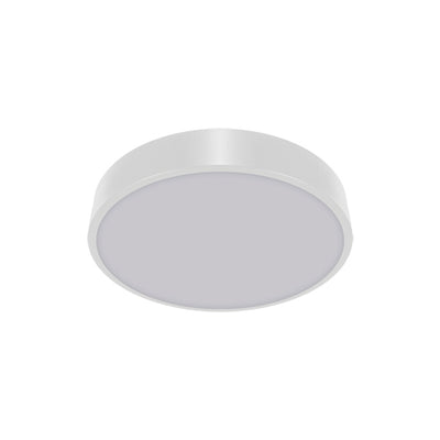 flush mount STRUHM TOTEM  LED (SMD)16W steel  white