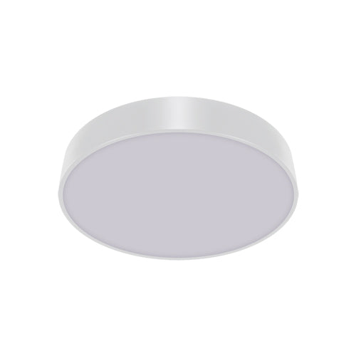 flush mount STRUHM TOTEM  LED (SMD)24W steel  white