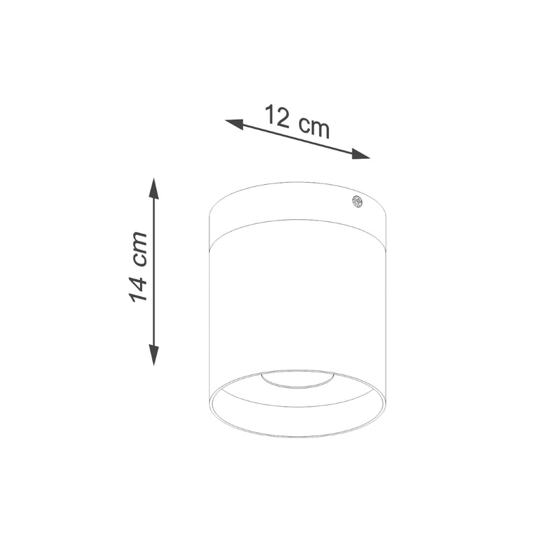 Ceiling spot Sollux Lighting Rif 1 GU10 wood white