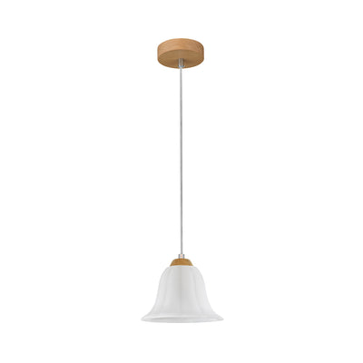 Anna Pendant 1xE27 Max.60W Oiled Oak / Transparent PVC / White