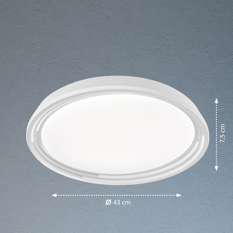 Fischer & Honsel Dua 1L flush mount ceiling lamp D 43cm white LED