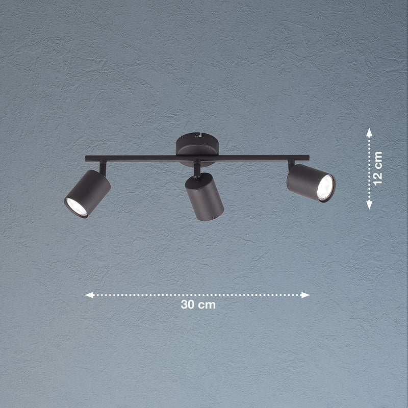 Fischer & Honsel Vano 3L monorail ceiling lamp, W 30cm black