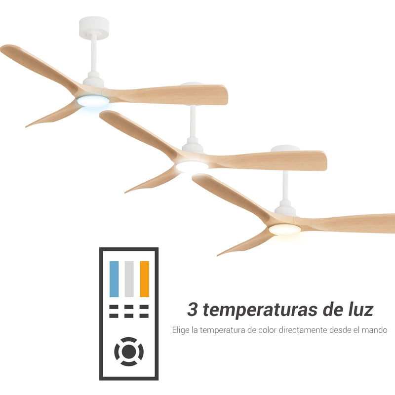 Sulion Carla L ceiling fan 3 blades