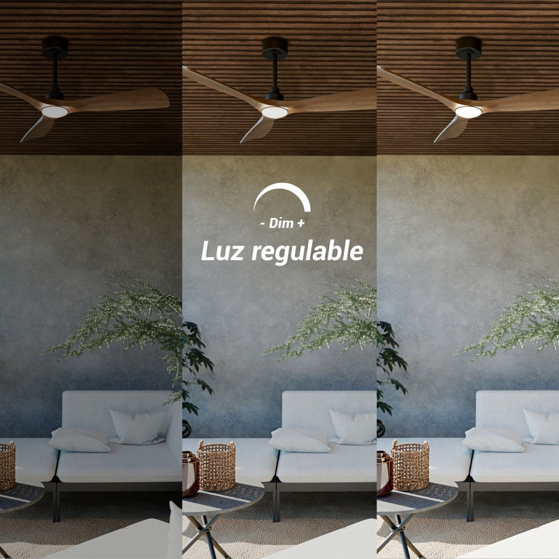 Sulion Carla L ceiling fan 3 blades