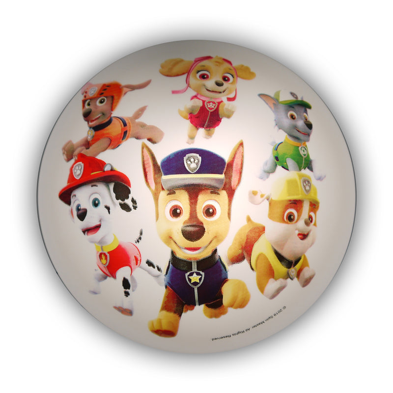 Paw Patrol loftskal