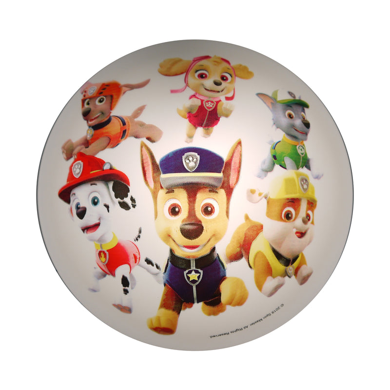 Casco de techo de la Patrulla Canina