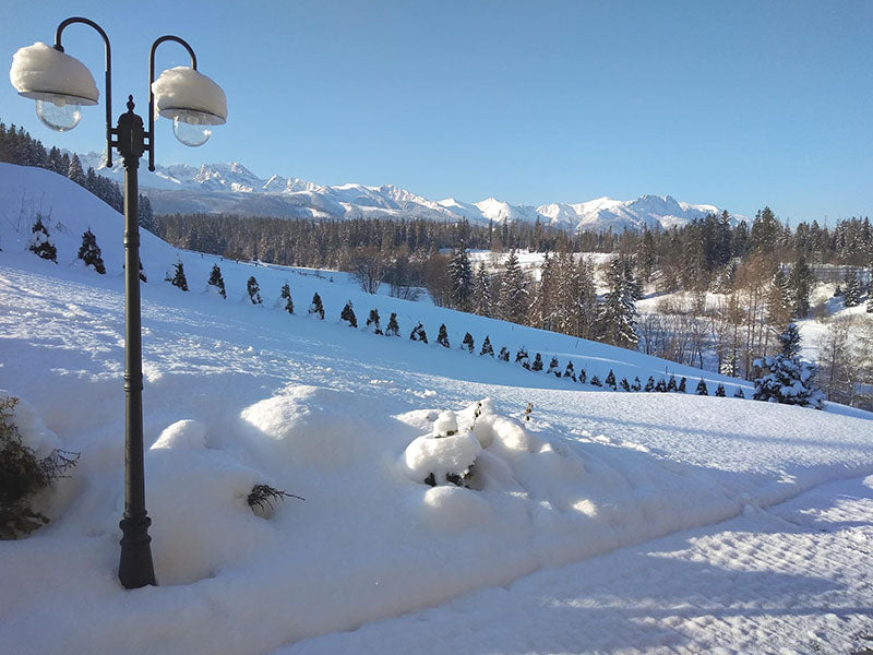 Kaja Boston 2L street light E27 H 237.0cm