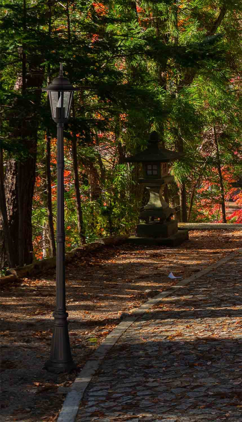 Kaja Standard 1L street light E27 H 230.0cm