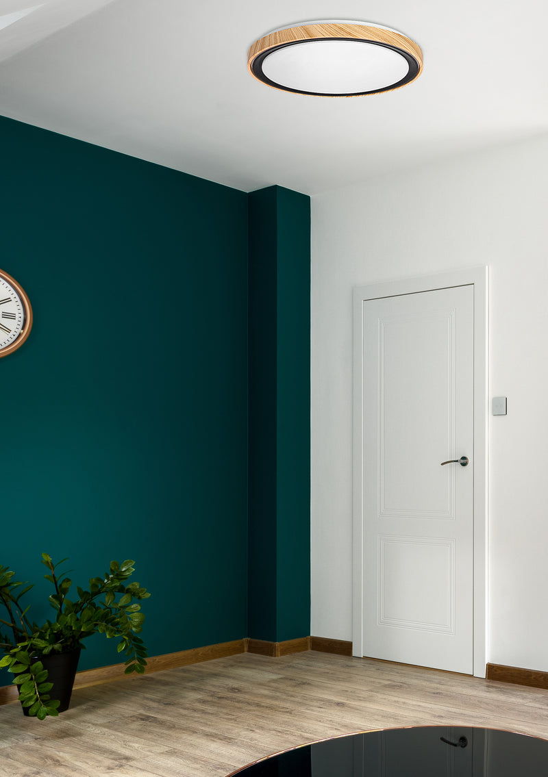 Candellux Aflo 1L flush mount ceiling lamp D 38cm