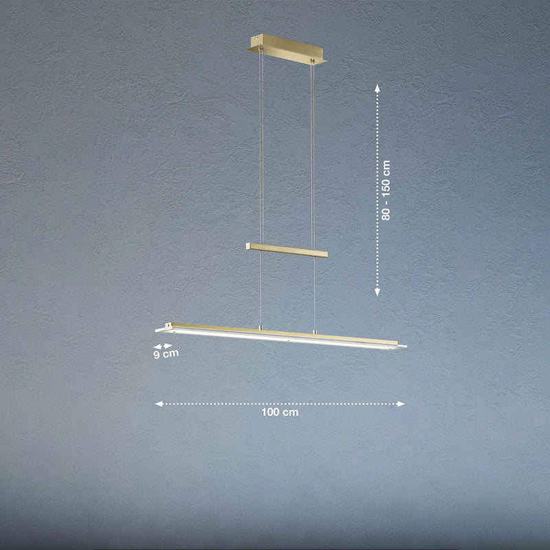 Fischer & Honsel Tenso TW 1L Lámpara de techo sobre carril An. 100cm LED