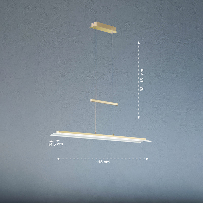 Fischer & Honsel Roof 1L lámpara de techo sobre carril An. 115cm latón LED