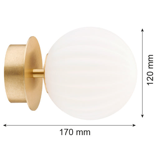 Argon Paloma 1L wall sconce lamp E14 H 17cm
