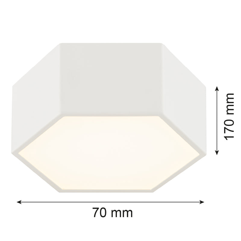 Argon Libero 1L flush mount ceiling lamp D 17cm