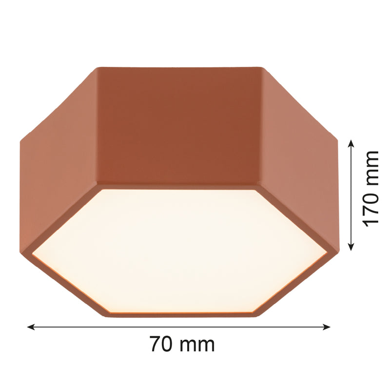 Argon Libero 1L flush mount ceiling lamp D 17cm