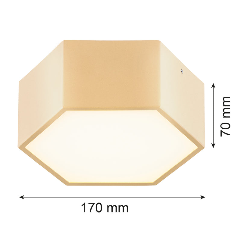 Argon Libero 1L flush mount ceiling lamp D 17cm
