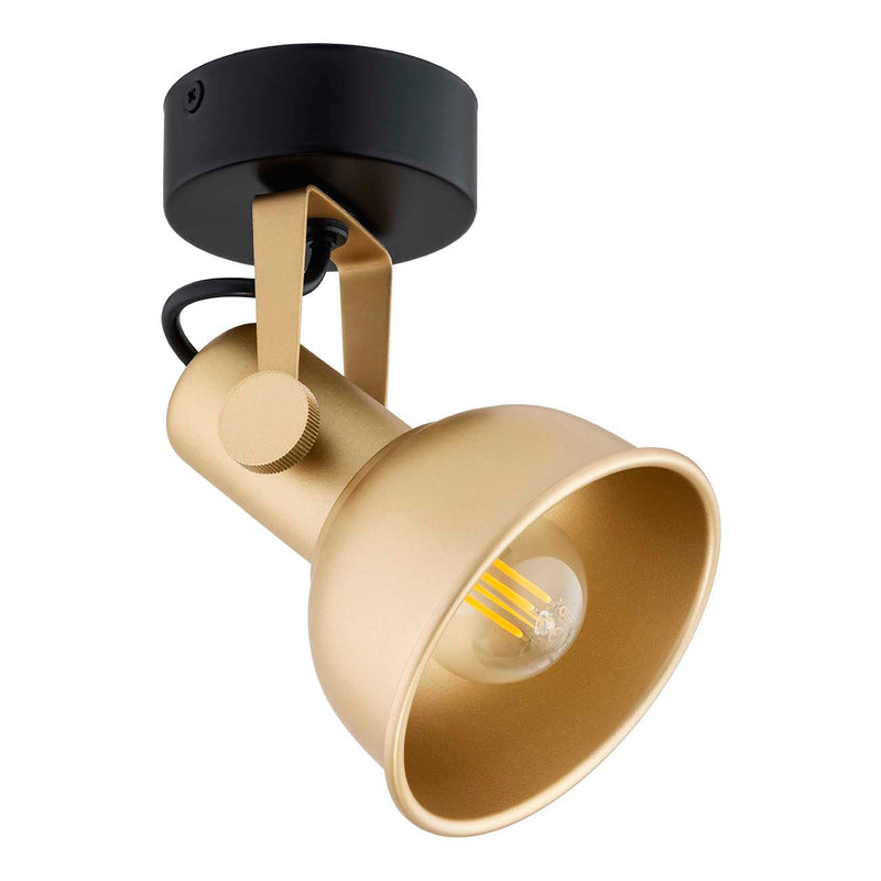 Argon Lenora 1L ceiling lamp E14 H 20cm
