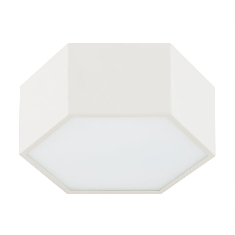 Argon Libero 1L flush mount ceiling lamp D 17cm
