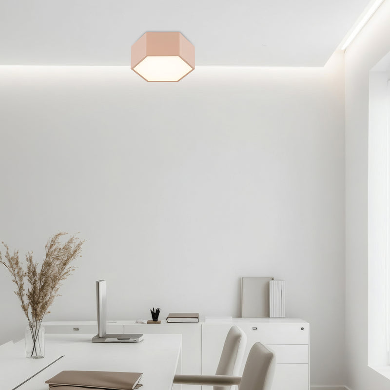 Argon Libero 1L flush mount ceiling lamp D 17cm