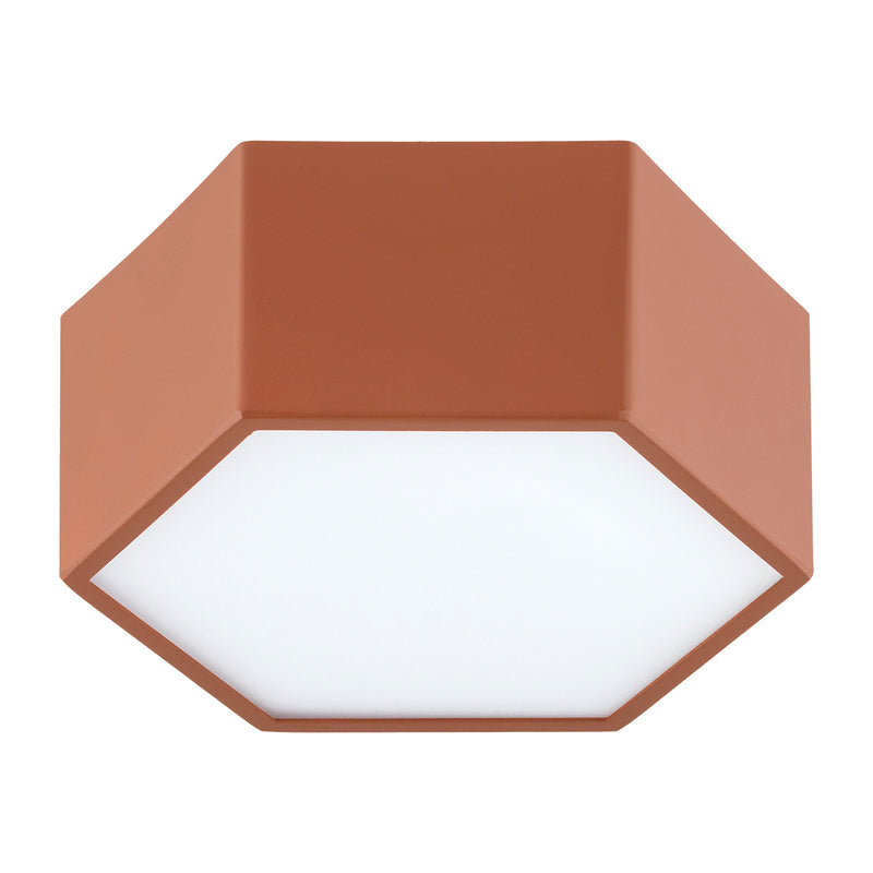 Argon Libero 1L flush mount ceiling lamp D 17cm