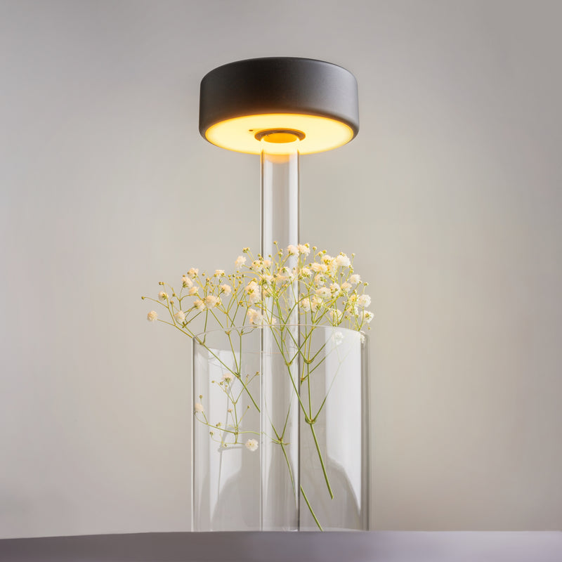 Maytoni AI Collaboration 1L table lamp, LED D 12cm