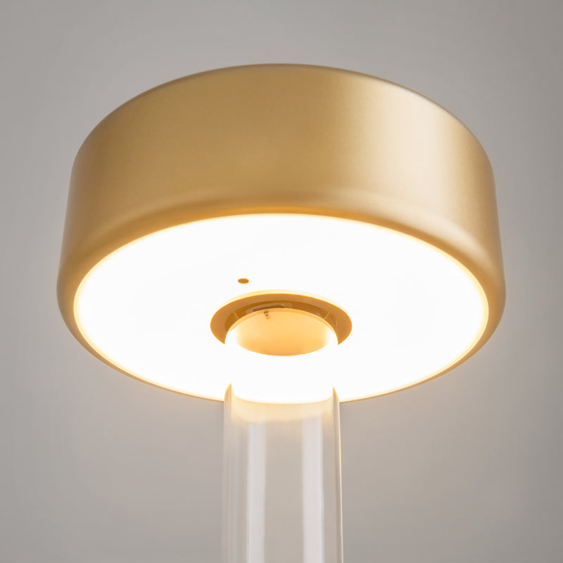 Lampada da tavolo Maytoni AI Collaboration 1L, LED D 12cm