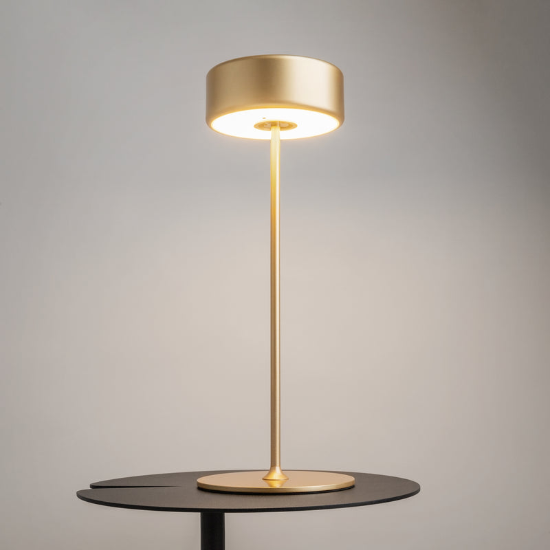 Maytoni AI Collaboration 1L table lamp LED D 12cm