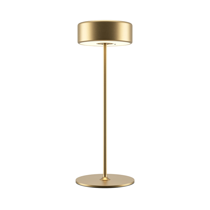 Maytoni AI Collaboration 1L table lamp, gold LED D 12cm