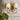 Wall sconce lamp Onli Lighting Pompei 2L E14 H 38cm