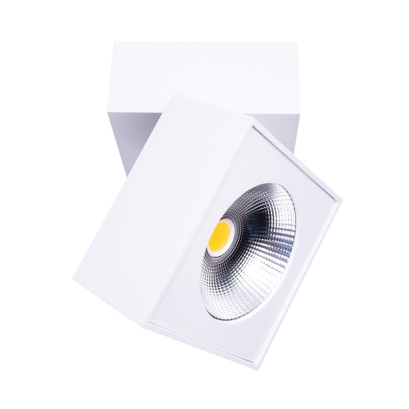 Maxlight Artu 1L ceiling spotlight white