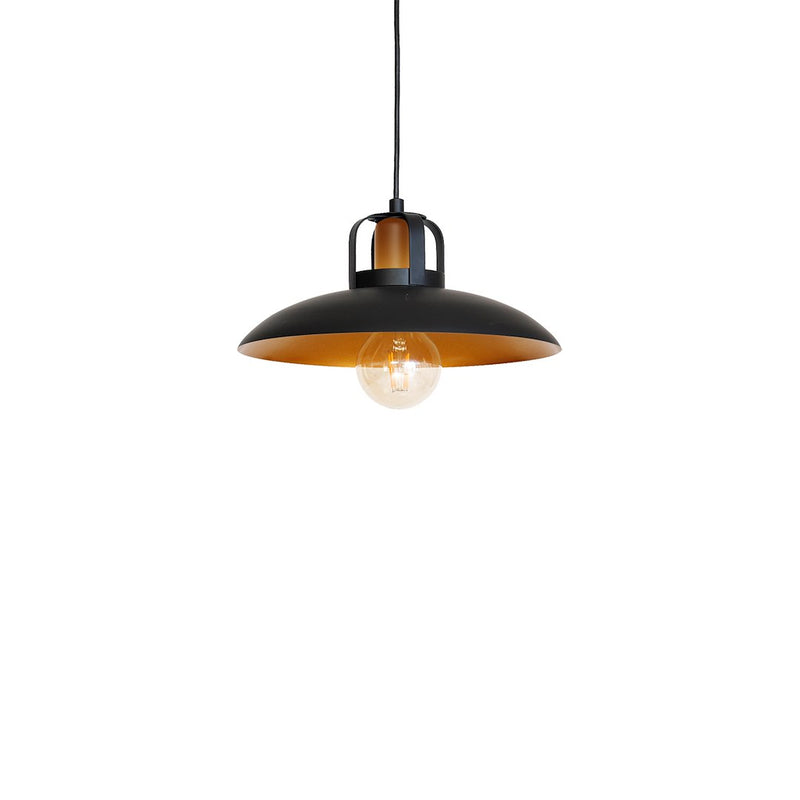 Milagro Felix pendant lamp E27