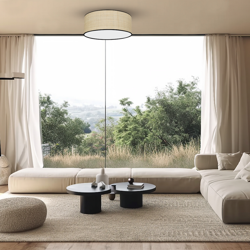 Milagro Marshal 2L ceiling lamp E27 H 13cm