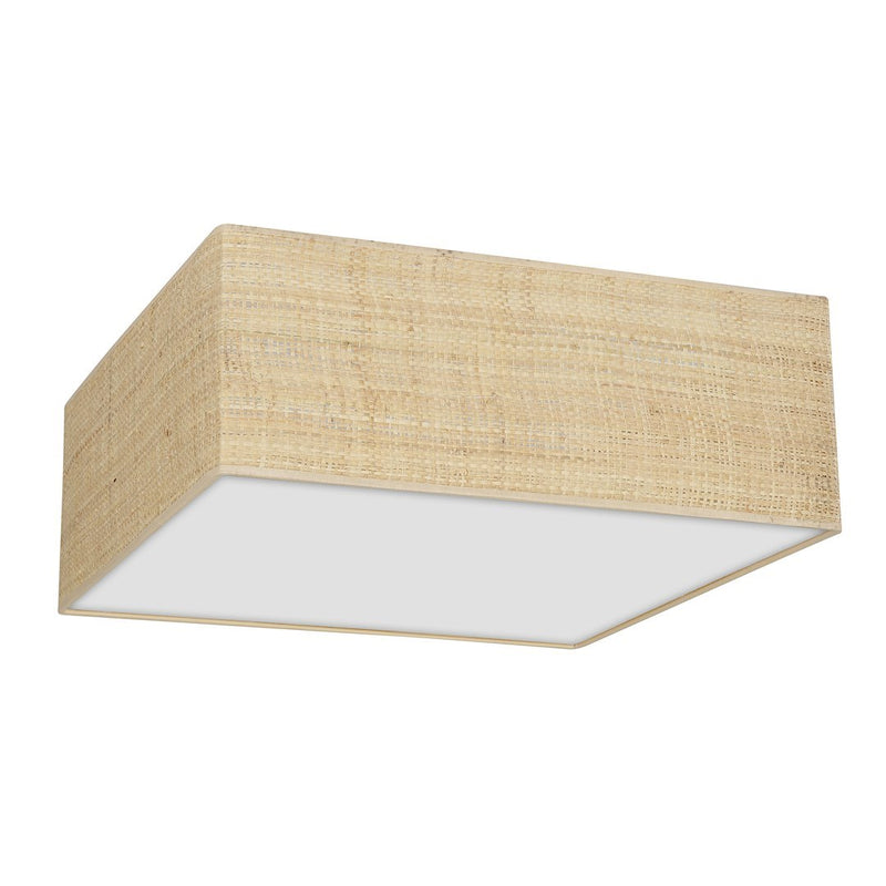 Milagro Marshal 2L ceiling lamp E27 H 13cm