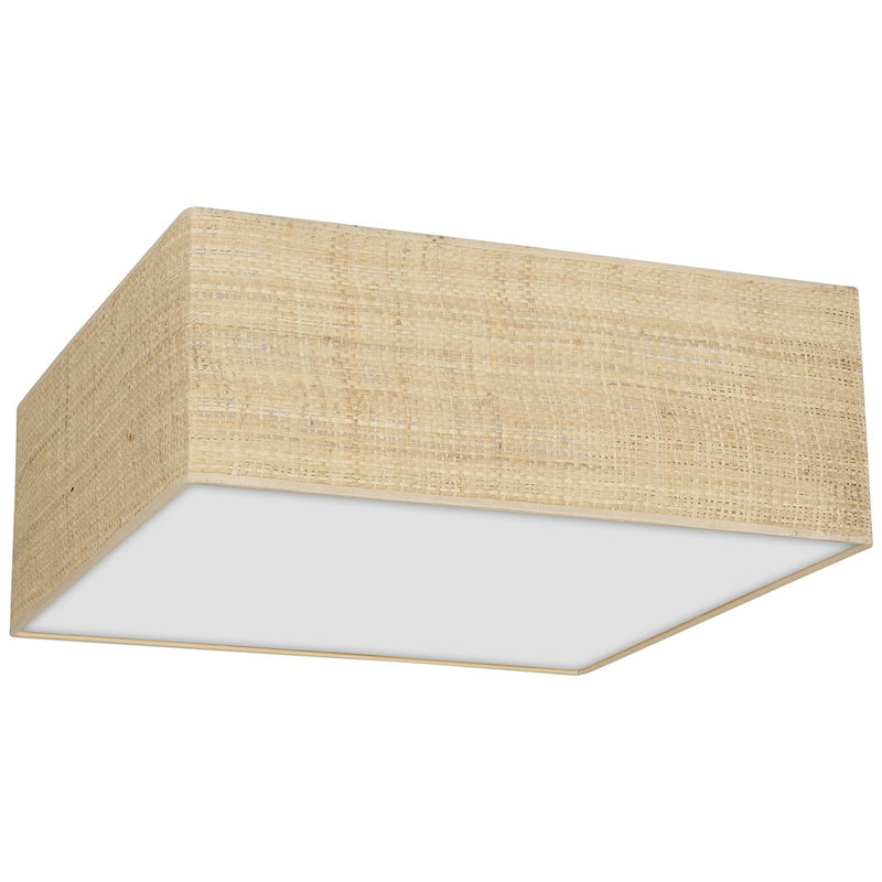 Milagro Marshal 2L ceiling lamp E27 H 13cm
