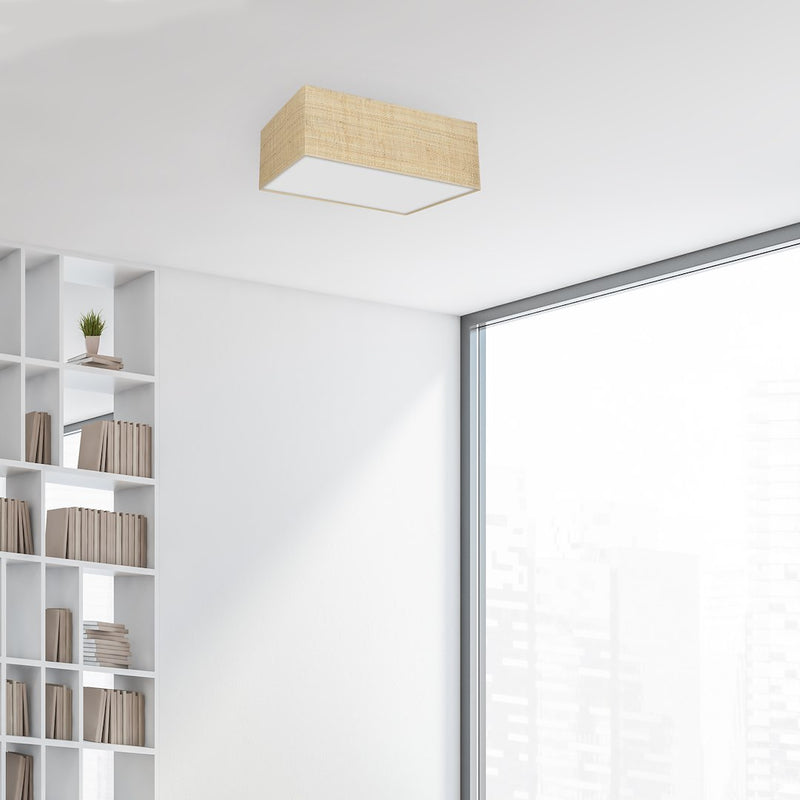 Milagro Marshal 2L ceiling lamp E27 H 13cm