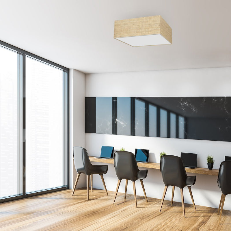 Milagro Marshal 2L ceiling lamp E27 H 13cm