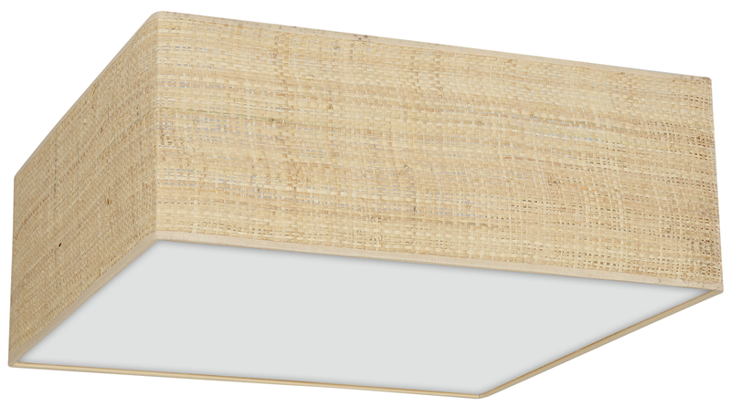 Milagro Marshal 2L ceiling lamp E27 H 13cm