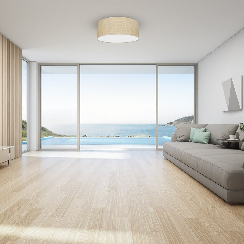 Milagro Marshal 2L ceiling lamp E27 H 13cm