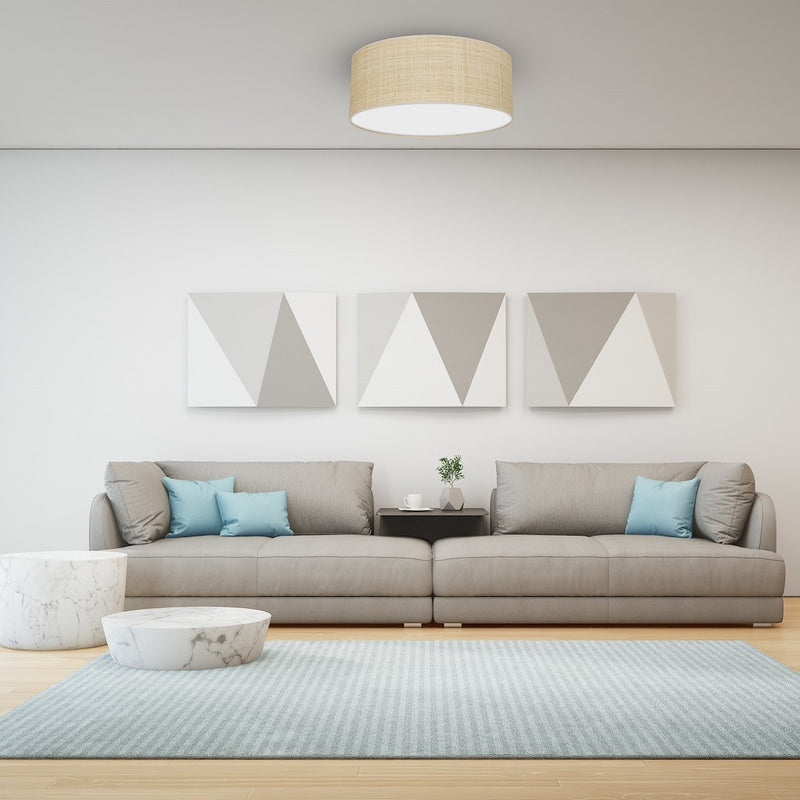 Milagro Marshal 2L ceiling lamp E27 H 13cm