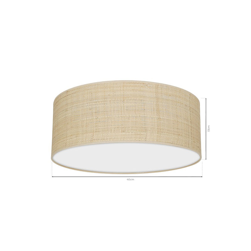 Milagro Marshal 2L ceiling lamp E27 H 13cm