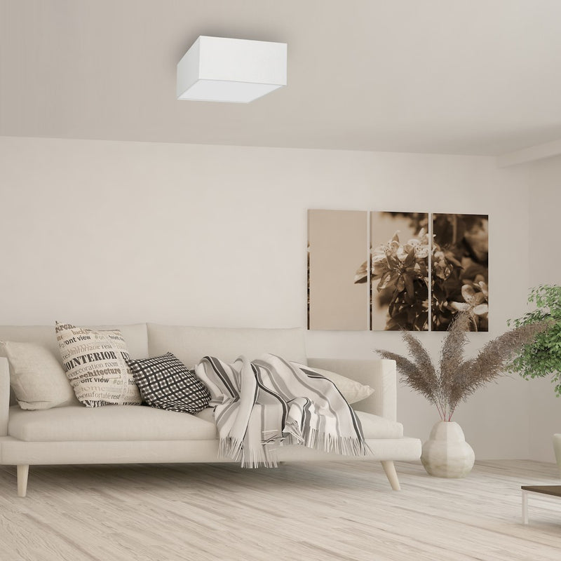 Milagro Albion 2L ceiling lamp E27 H 13cm