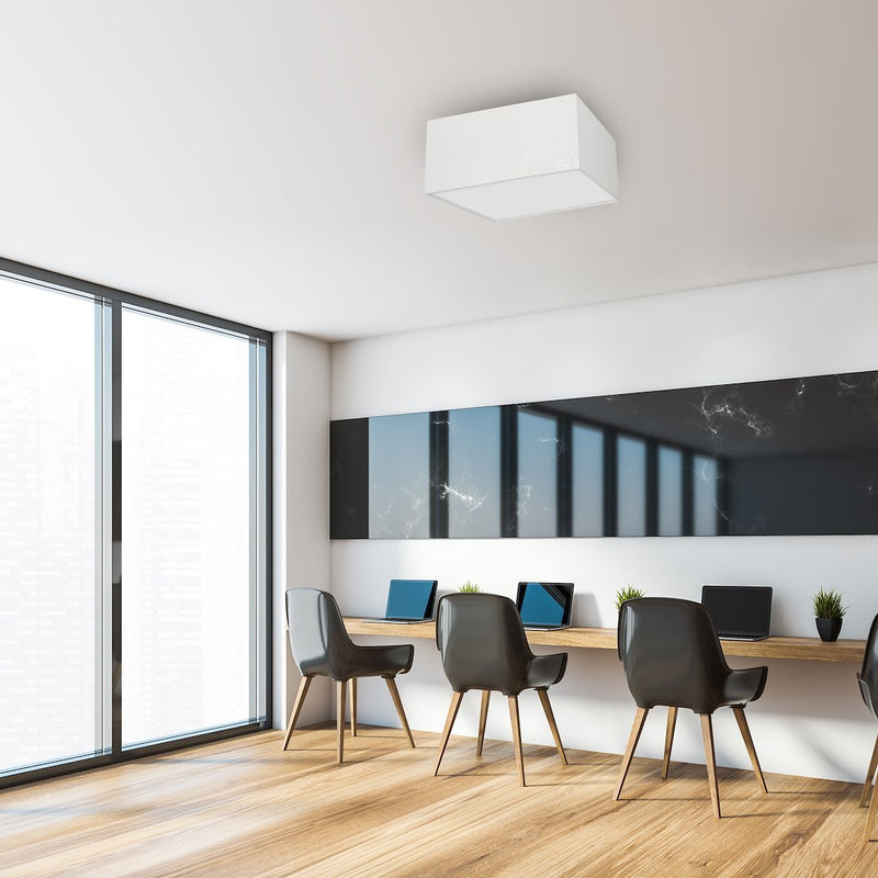 Milagro Albion 3L ceiling lamp E27 H 13cm