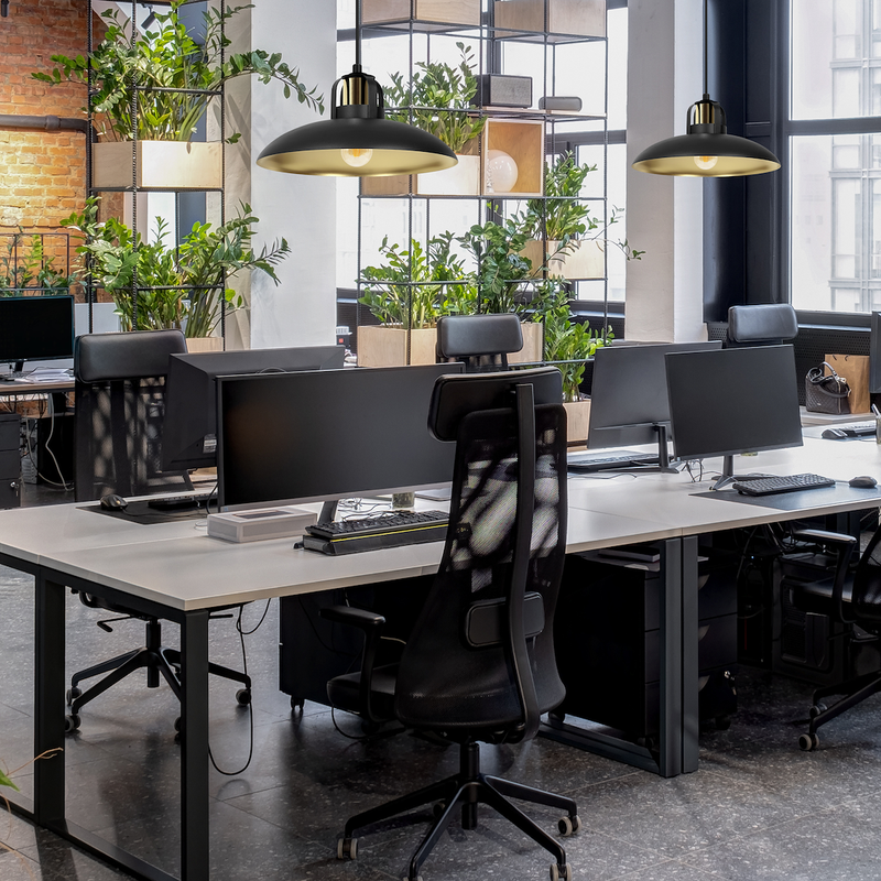 Milagro Felix 1L pendant lamp E27