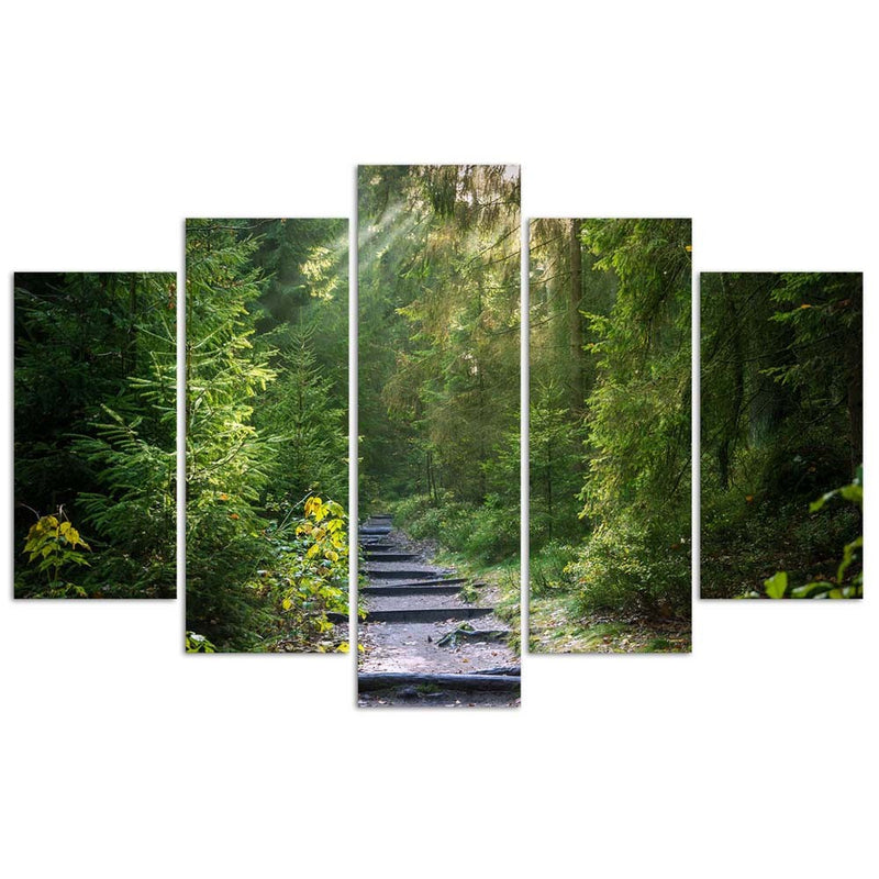Five piece picture deco panel, Path in a green forest