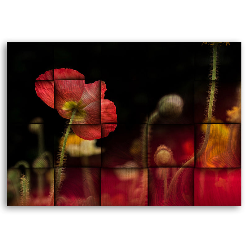Deco panel print, Red poppy flower