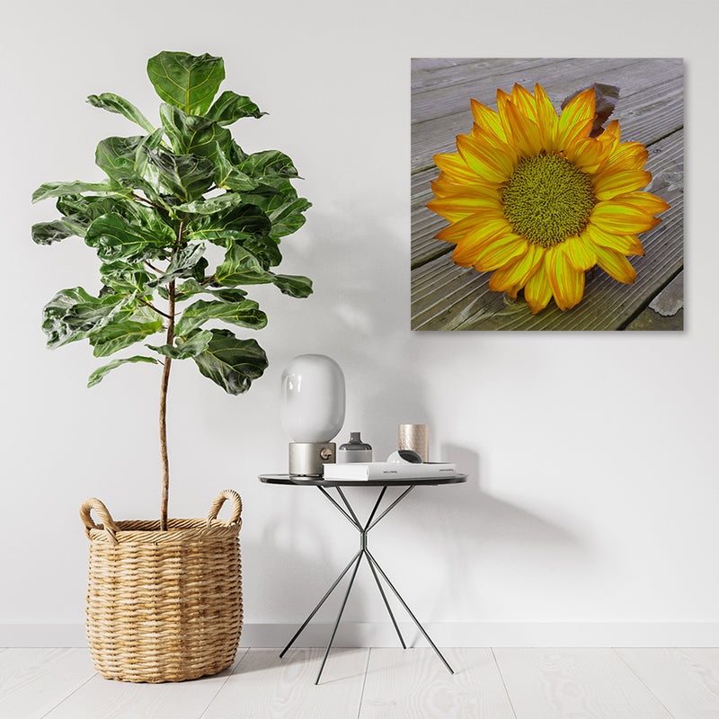 Deco panel print, Yellow sunflower