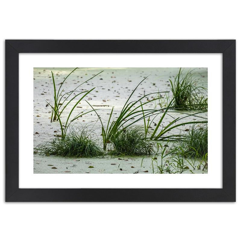 Picture in black frame, Grasses on the beach